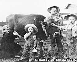 孩子照片有母牛的。