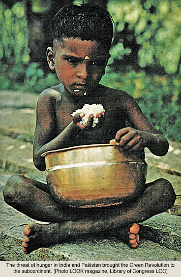 印度饥饿儿童