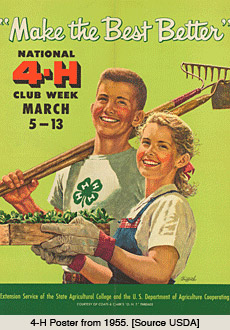 1955年4-H海报